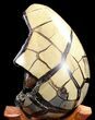 Septarian Dragon Egg Geode - Crystal Filled #37300-2